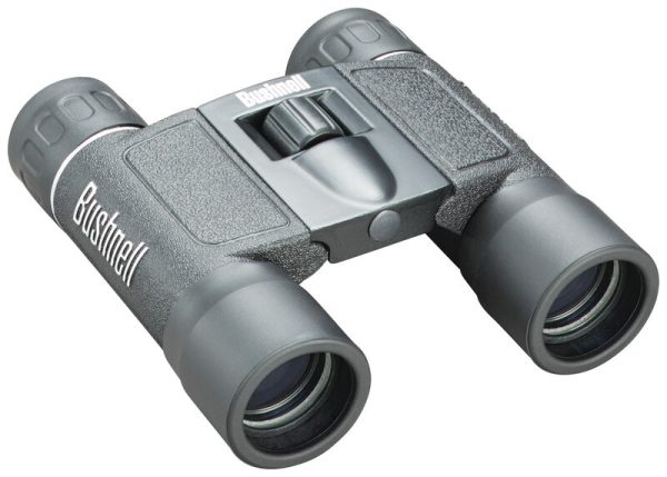 Bushnell 10x25 Powerview FRP | Waffenglauser.ch