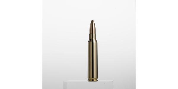 .223 Rem. - Image 3