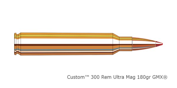 Custom International - Image 4