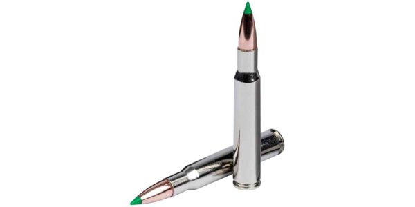 Nosler® Ballistic Tip® - Image 2