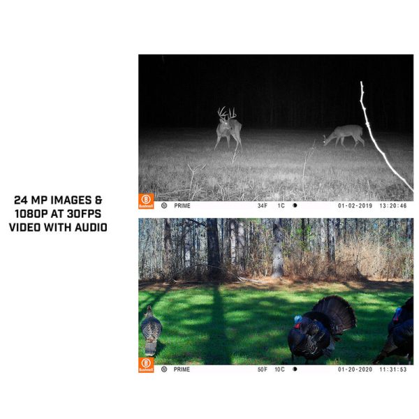 Bushnell Trail Cam Prime 24MP Low Glow, Tan - Image 3